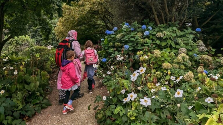 What Tips Ensure a Memorable Family Hiking Adventure?